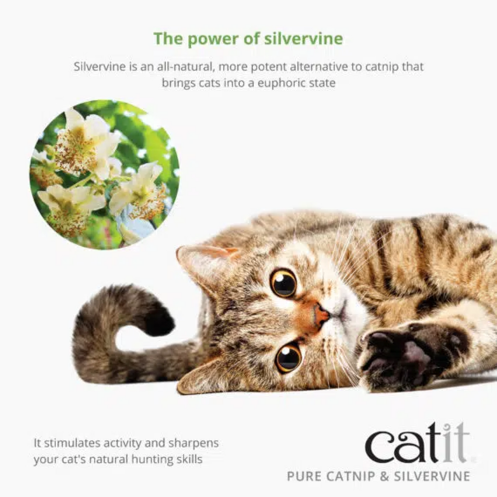 Catit Dried Catnip & Silverine Mix 28 g