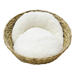 Green Basket