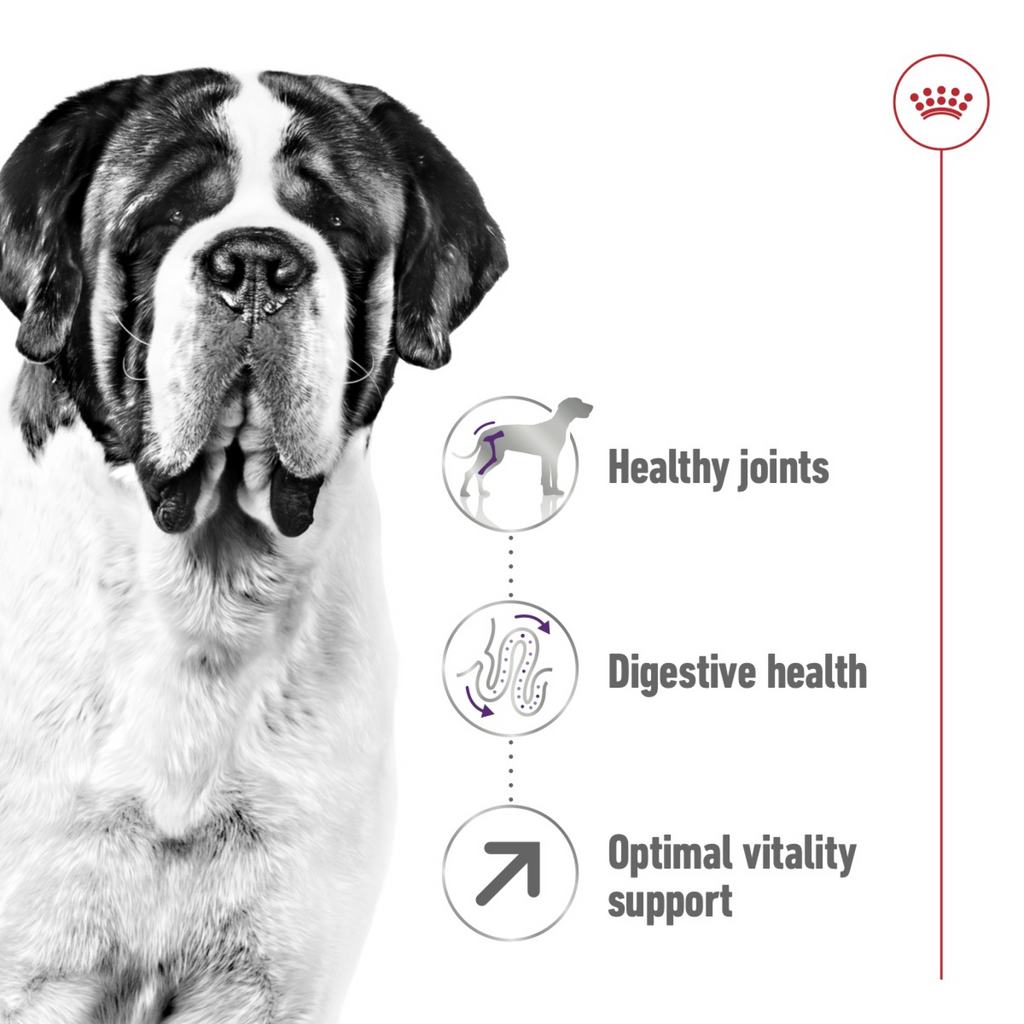 Size Health Nutrition Giant Adult 15 kg