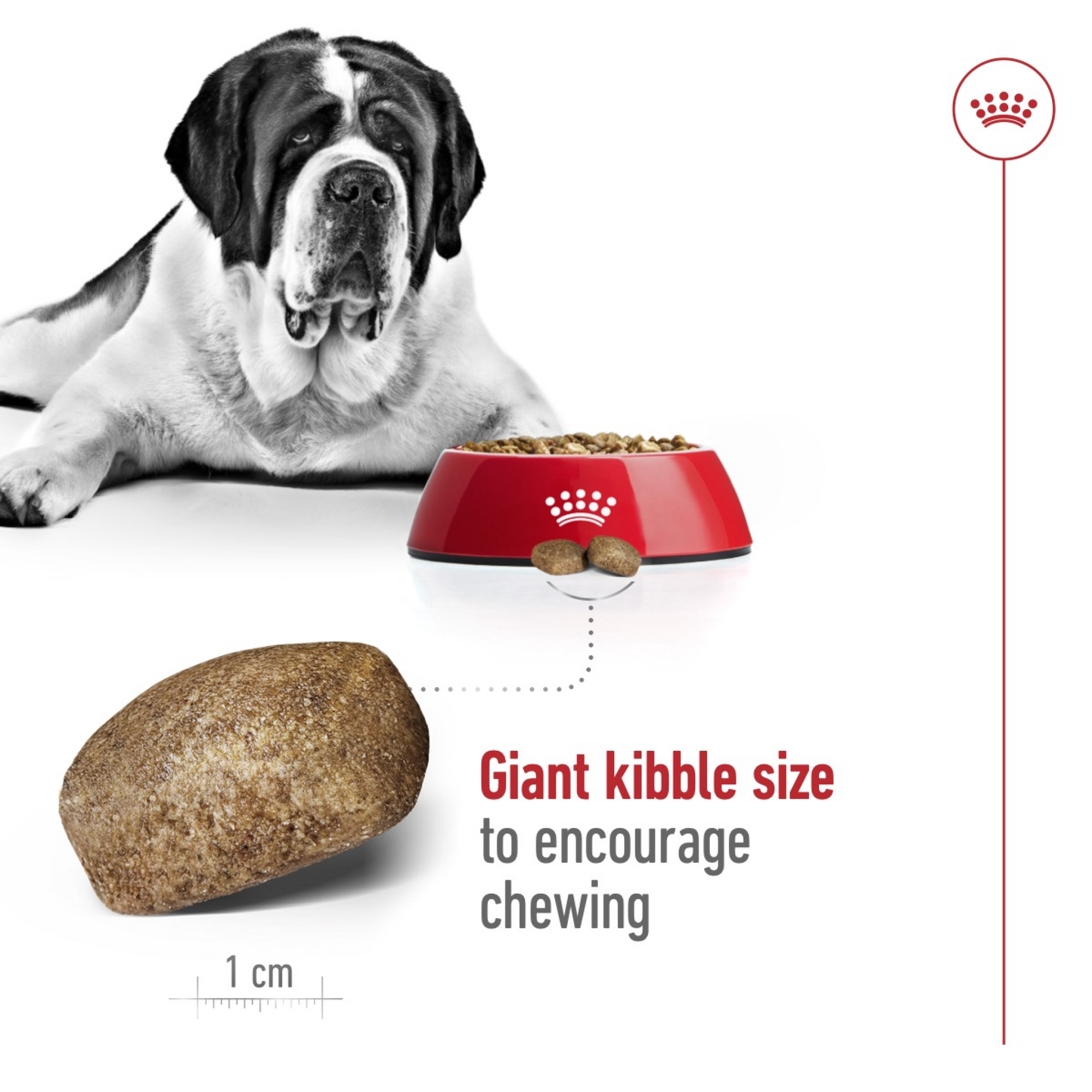 Size Health Nutrition Giant Adult 15 kg