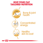 Feline Breed Nutrition Maine Coon (Wet Food - Pouches) 12 x 85 g