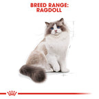 Feline Breed Nutrition Ragdoll Adult 2 kg