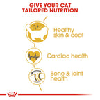 Feline Breed Nutrition Ragdoll Adult 2 kg