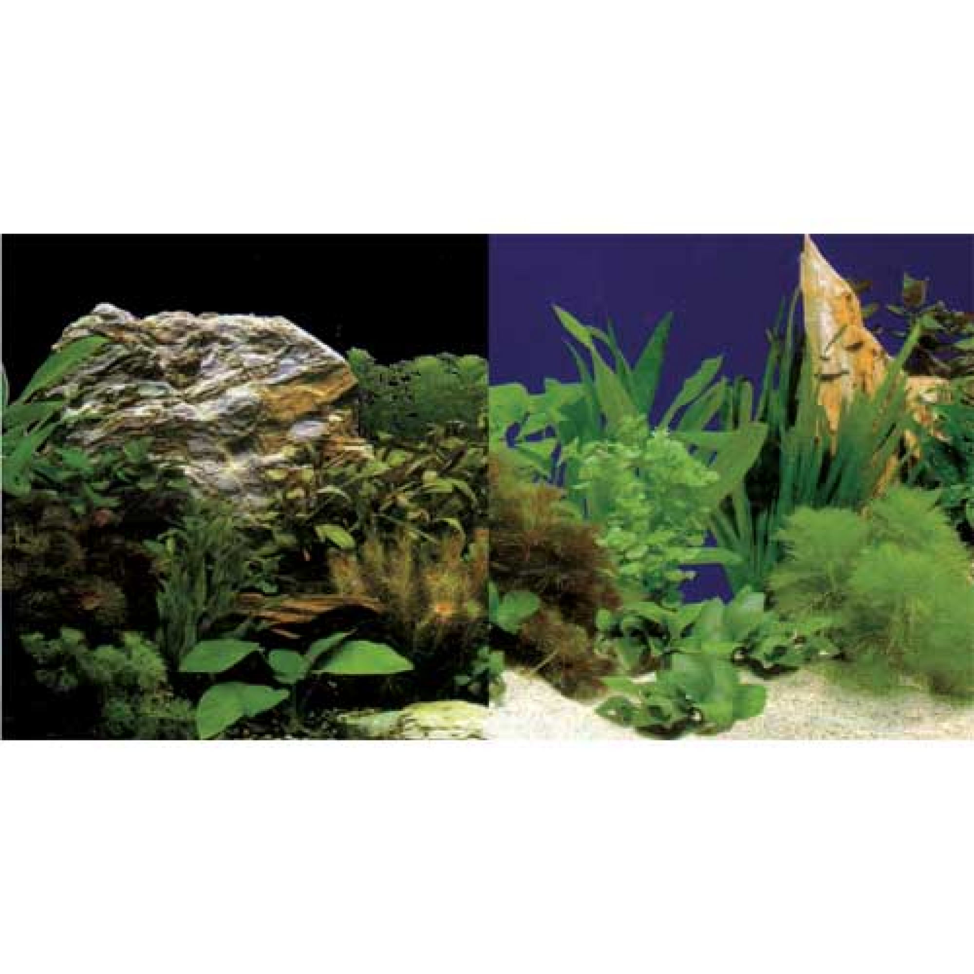 Photo Background Plants 50 cm x 25 m Roll - Imperfect