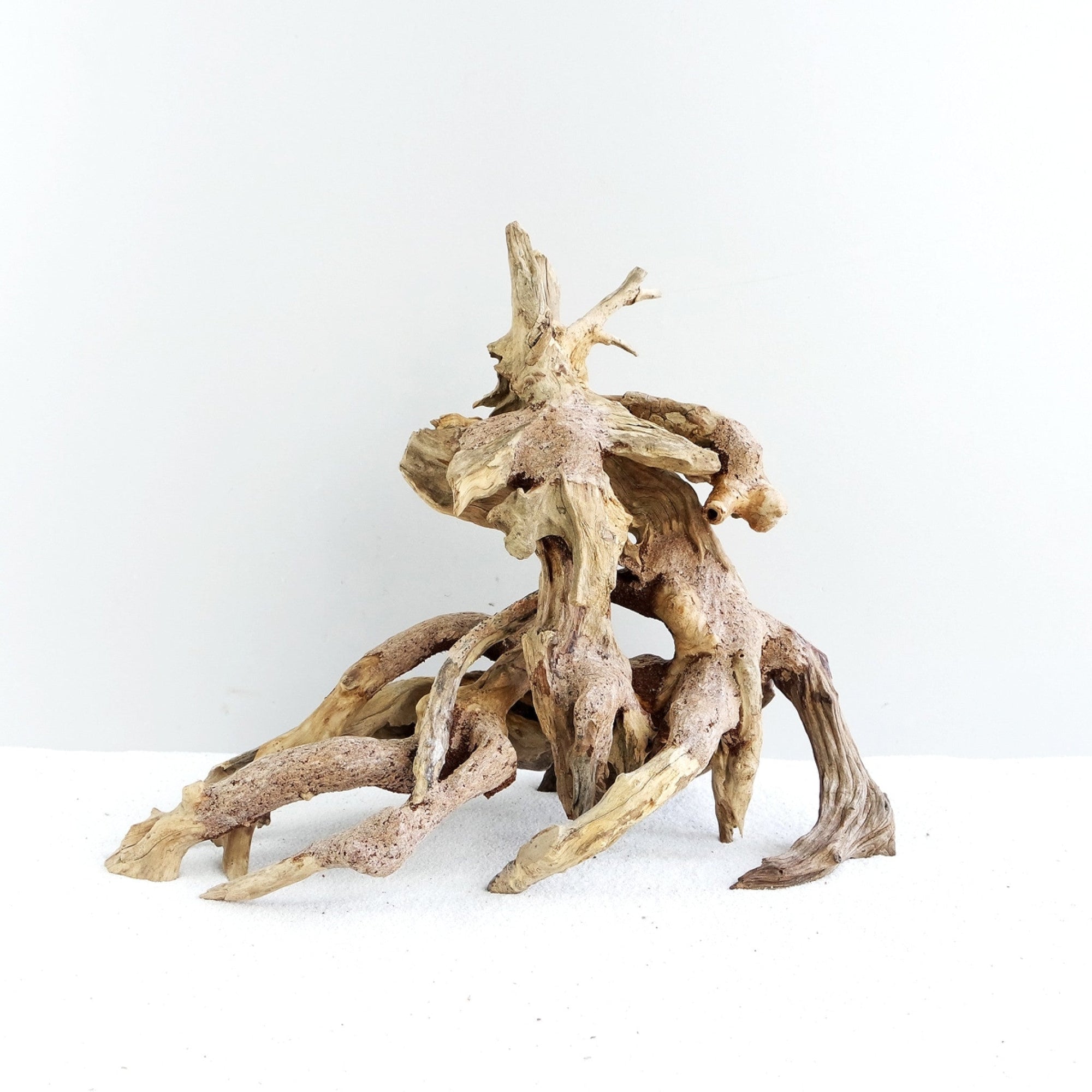 Octopus Wood Small, 22x18x13 cm / box