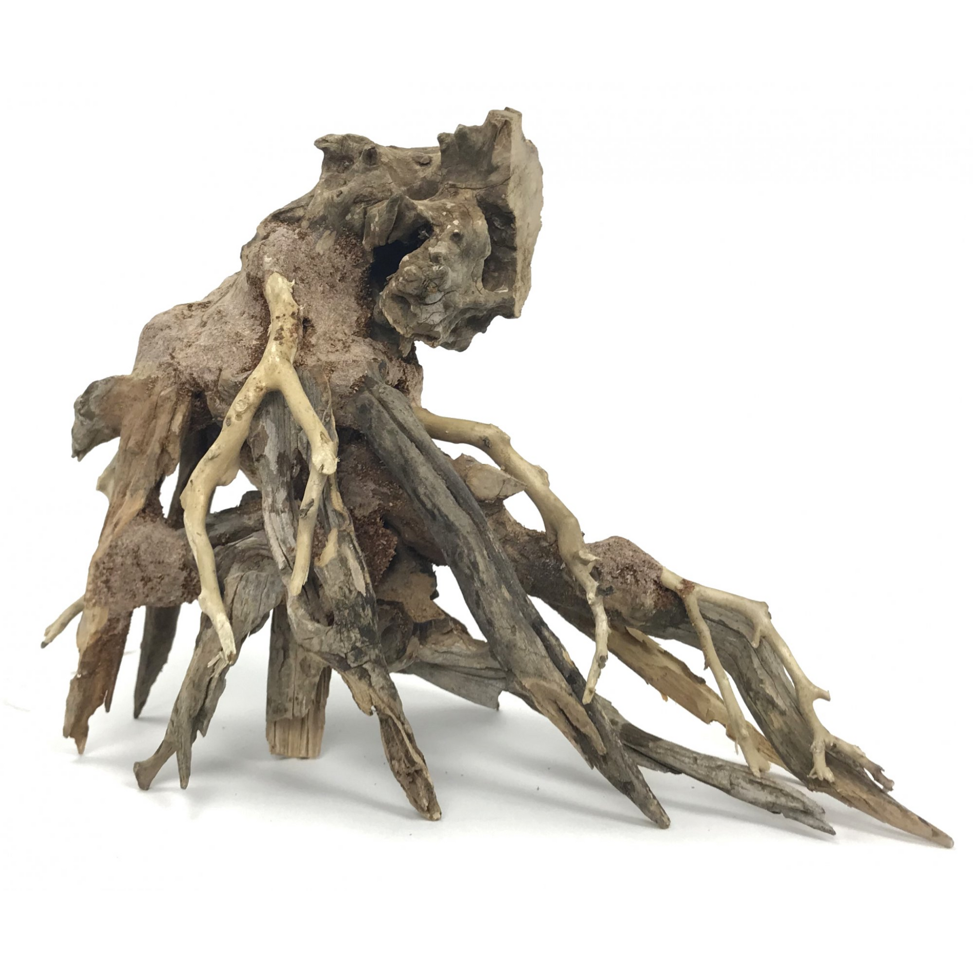 Octopus Wood Large, 35x30x17 cm / box