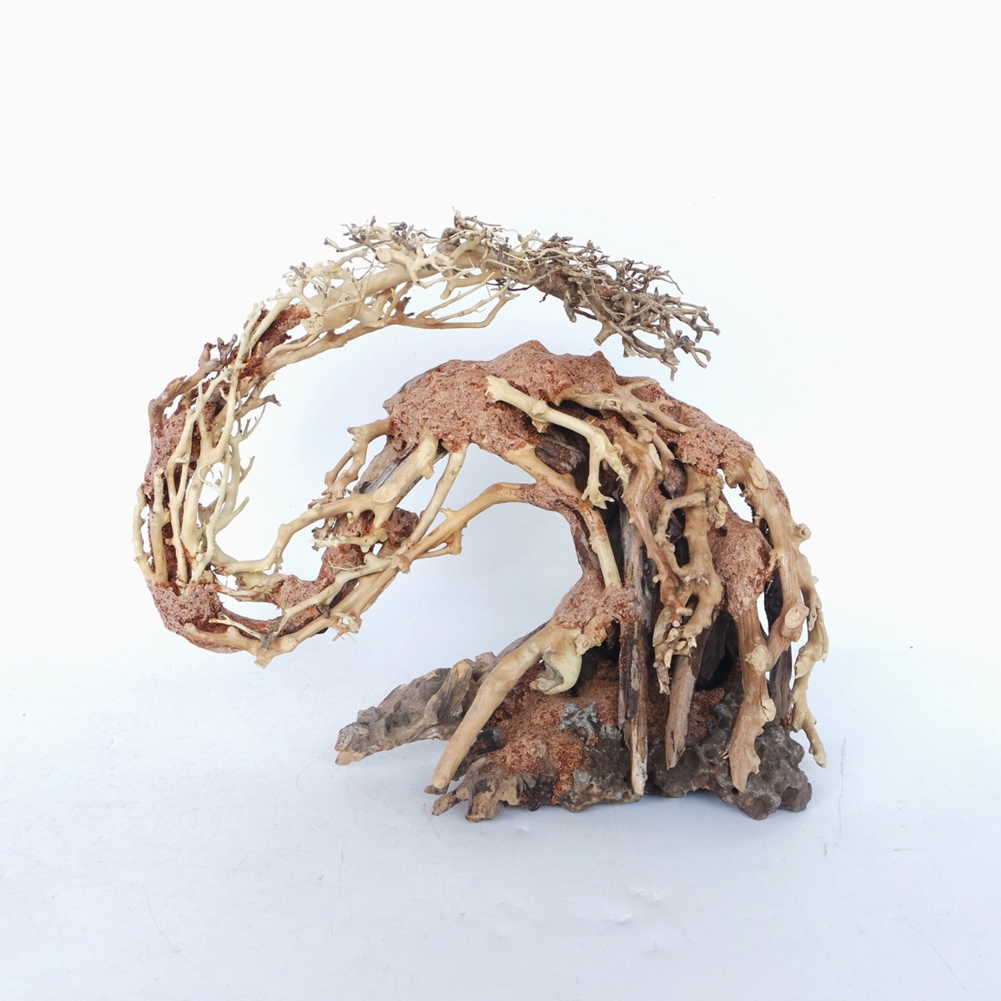 Dragon-like Wood Tree Small, 22x15x10 cm / box