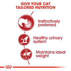 Royal Canin Feline Health Nutrition Instinctive Adult Cats Jelly (Wet Food - Pouches) 12 x 85 g - Pack of 12