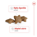 Size Health Nutrition Mini Adult 4 kg