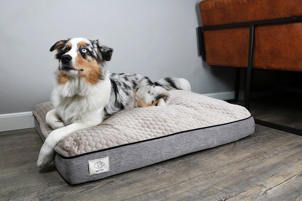 D&D Celia Cushion Bed for Dogs