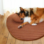 D&D Home Peeble Double Sided Plaid for Dogs