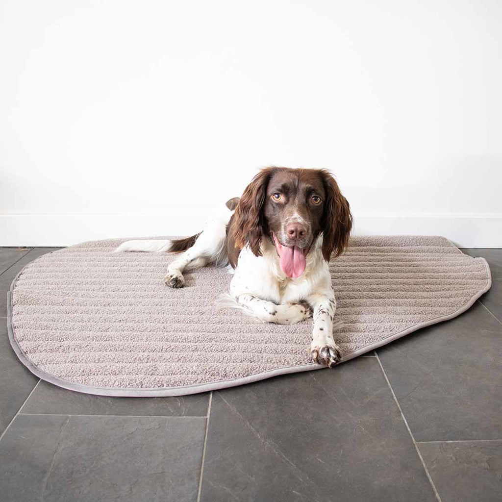 D&D Home Peeble Double Sided Plaid for Dogs