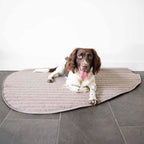 D&D Home Peeble Double Sided Plaid for Dogs