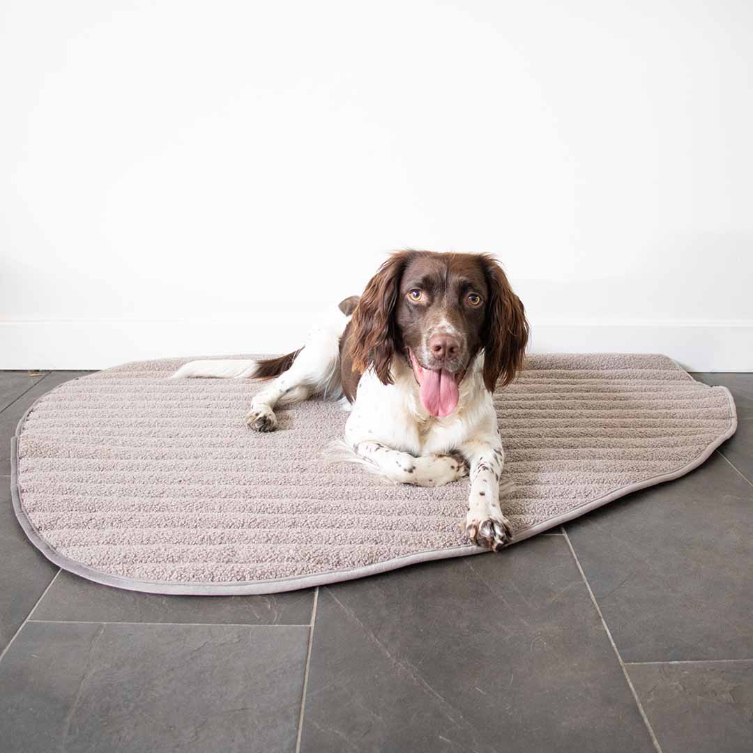 D&D Home Peeble Double Sided Plaid for Dogs