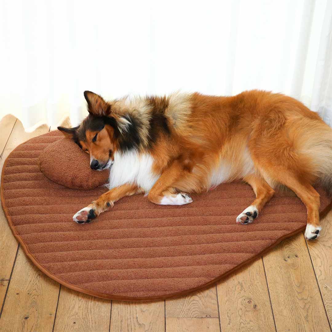 D&D Home Peeble Dog Head Pillow