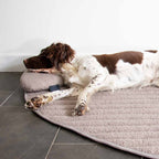 D&D Home Peeble Dog Head Pillow