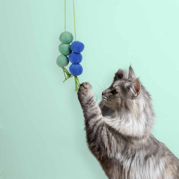 Ebi Coockoo DIZZY DANGLE Bouncy Cat Toy BLUE&GREEN 60X4X4CM