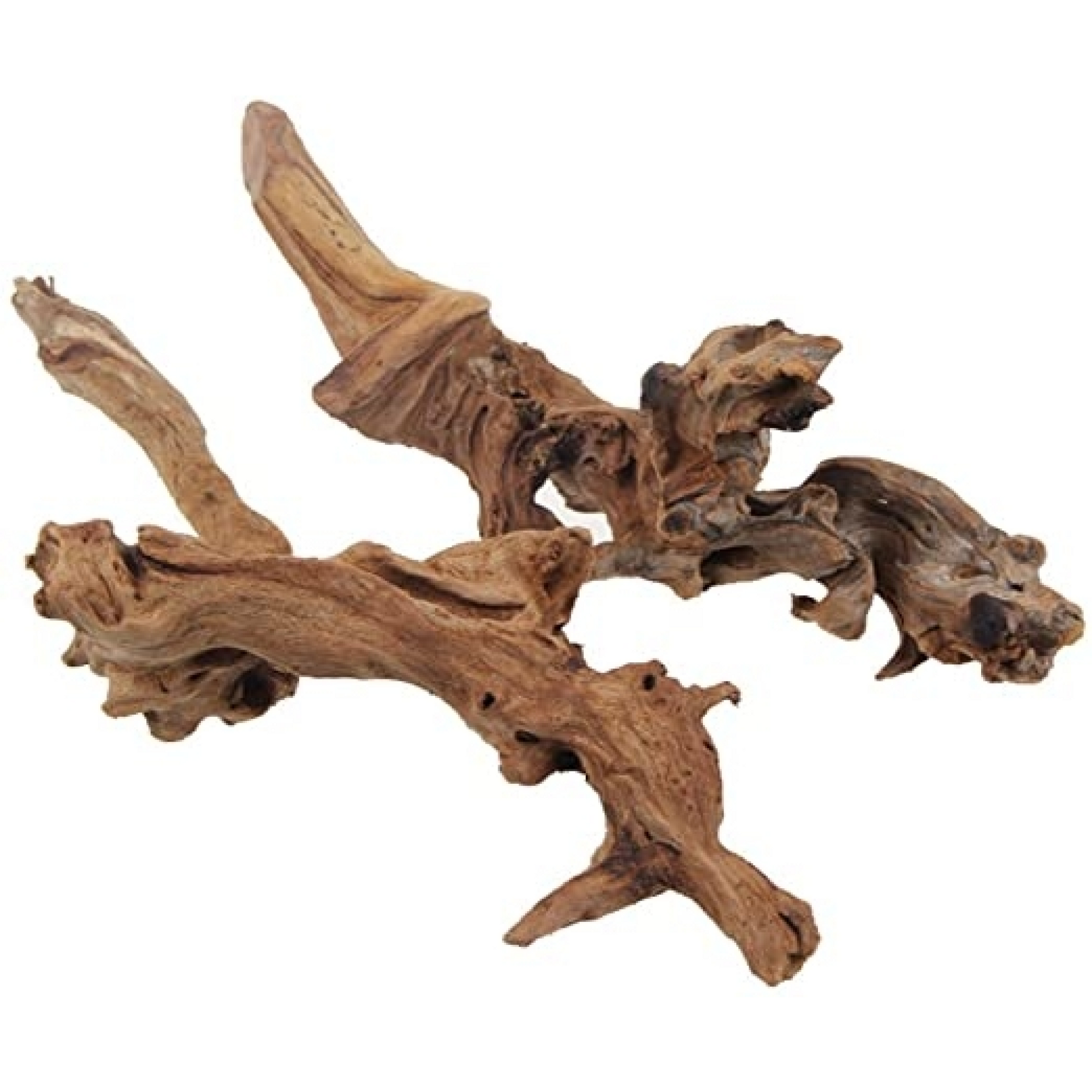 Drift Wood Large, 41-50 cm / box