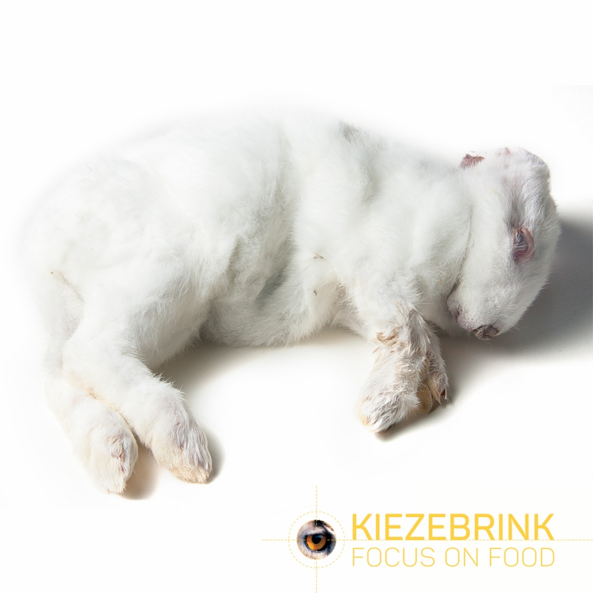 Small Frozen Rabbits 8 pcs (8-9 kg box) - Zero Waste