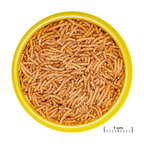 JBL Pronovo Betta Insect Stick S, 100 ml
