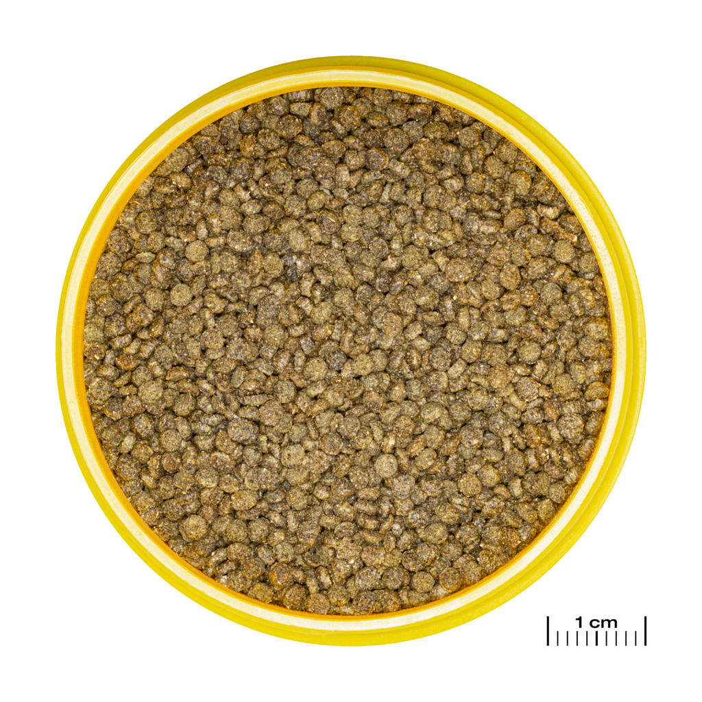 JBL Pronovo Gourami Grano S 250 ml