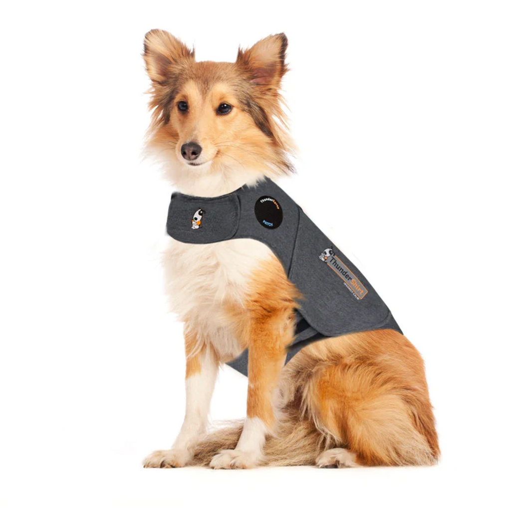 Thundershirt Dog Grey, Large GB
