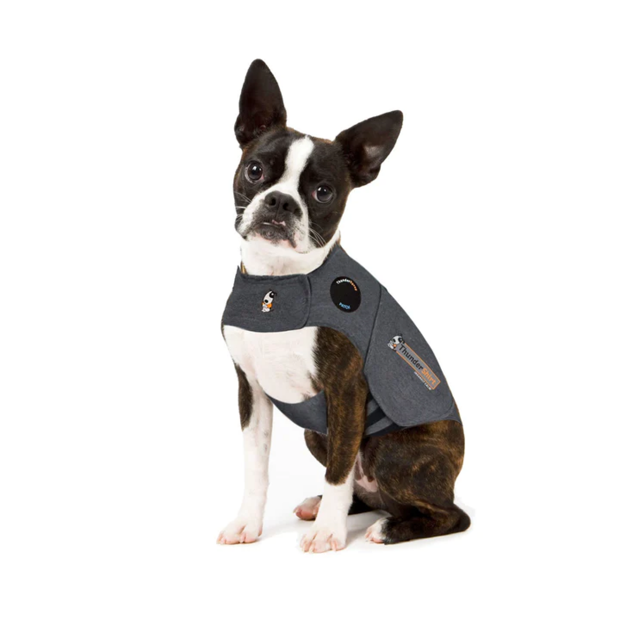 Thundershirt Dog Grey, XSmall GB