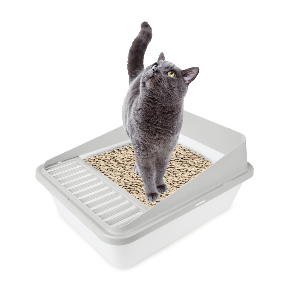 Go Fresh High Back Cat Litter Box Small Sand