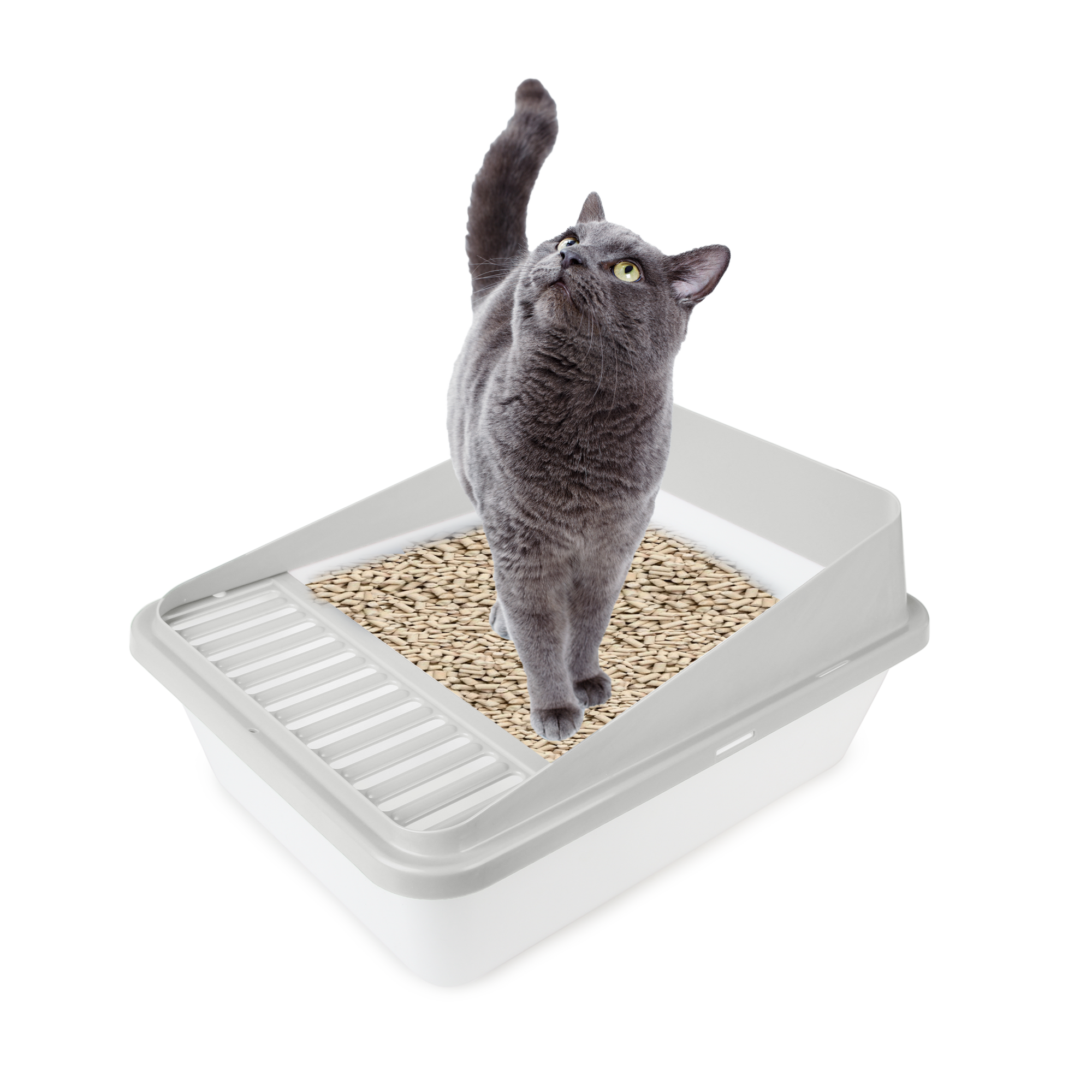 Go Fresh High Back Cat Litter Box Small Sand