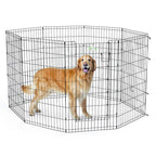MidWest 42 inch black exercise pen with full MAX Lock door