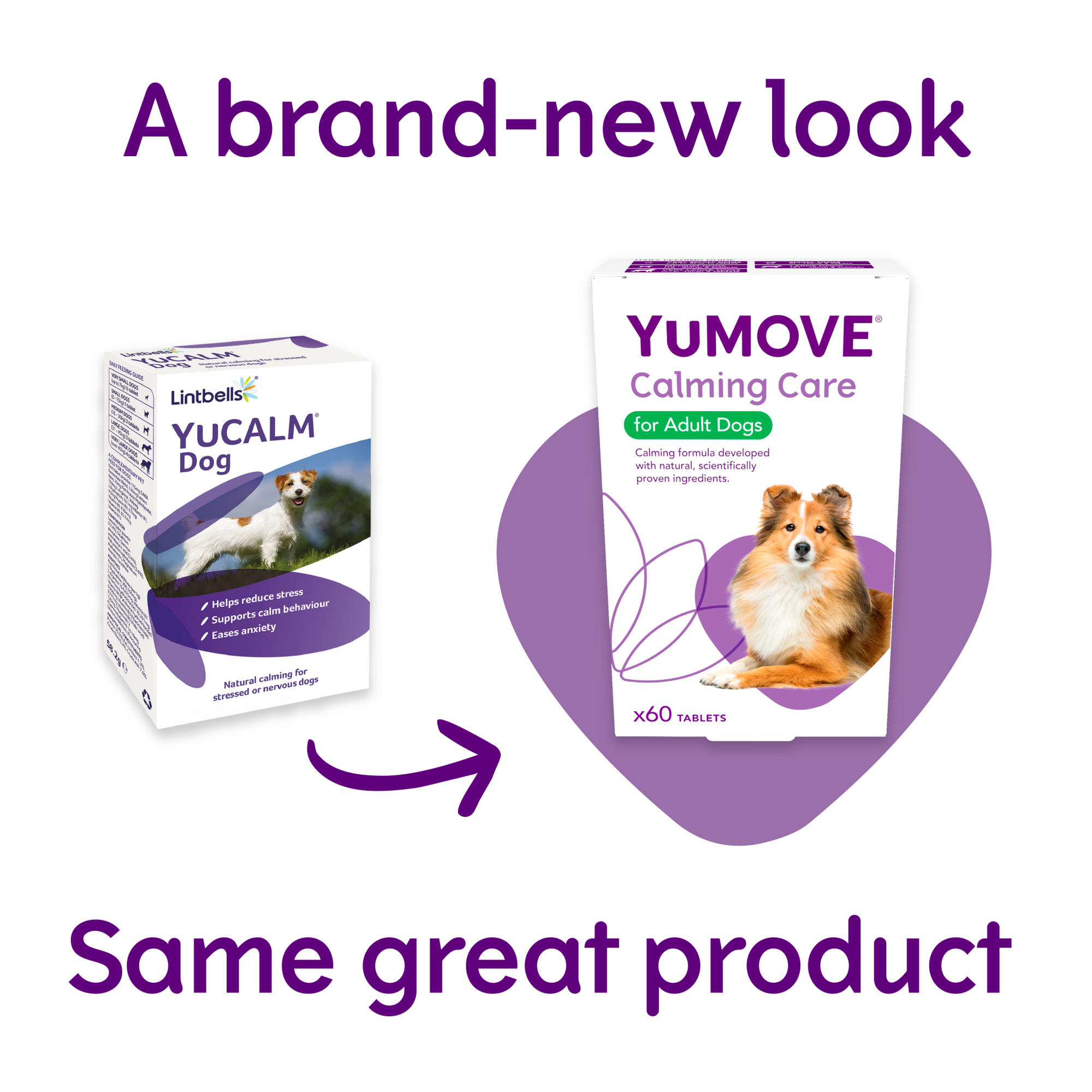 YuMOVE Calming Care for Adult Dogs 60 Tabs