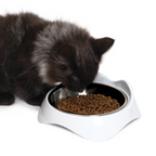 Catit Pixi Feeding Dish White