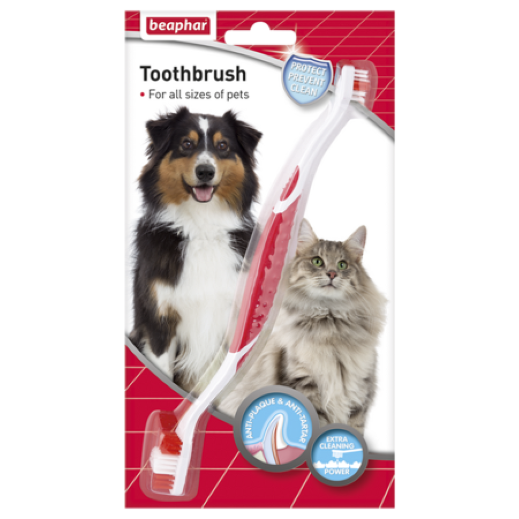 Toothbrush for Dogs & Cats