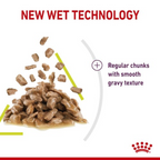 Feline Health Nutrition Sensory Smell Gravy (Wet Food - Pouches) 12 x 85 g