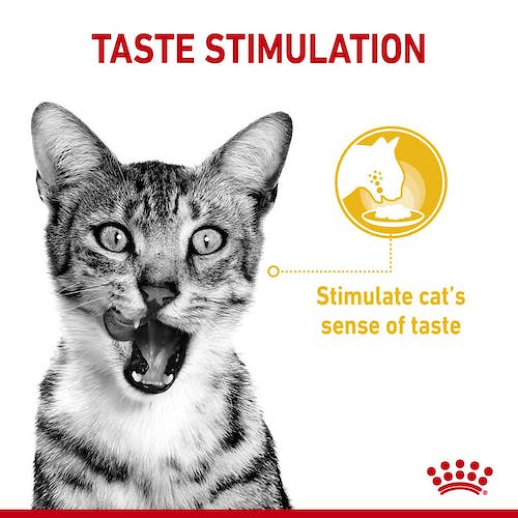 Feline Health Nutrition Sensory Taste Gravy (Wet Food - Pouches) 12 x 85 g