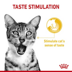 Feline Health Nutrition Sensory Taste Gravy (Wet Food - Pouches) 12 x 85 g