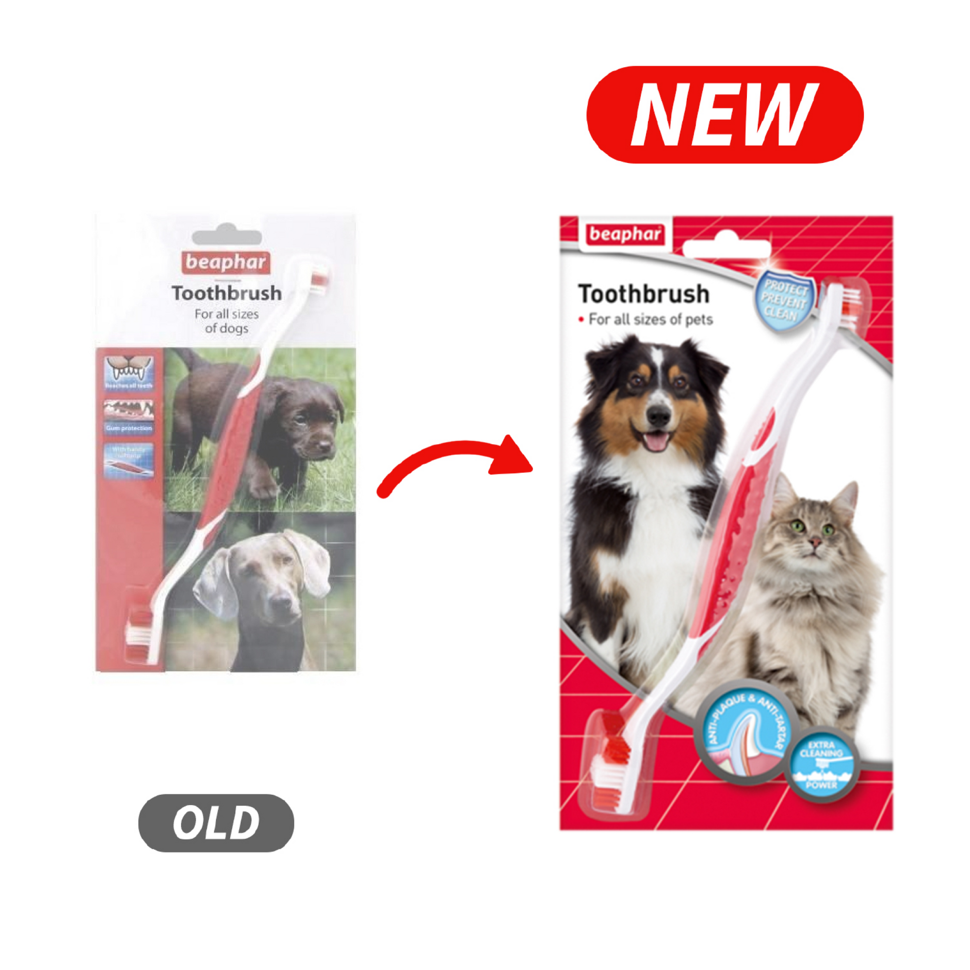 Toothbrush for Dogs & Cats