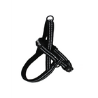 Norwegian Harness