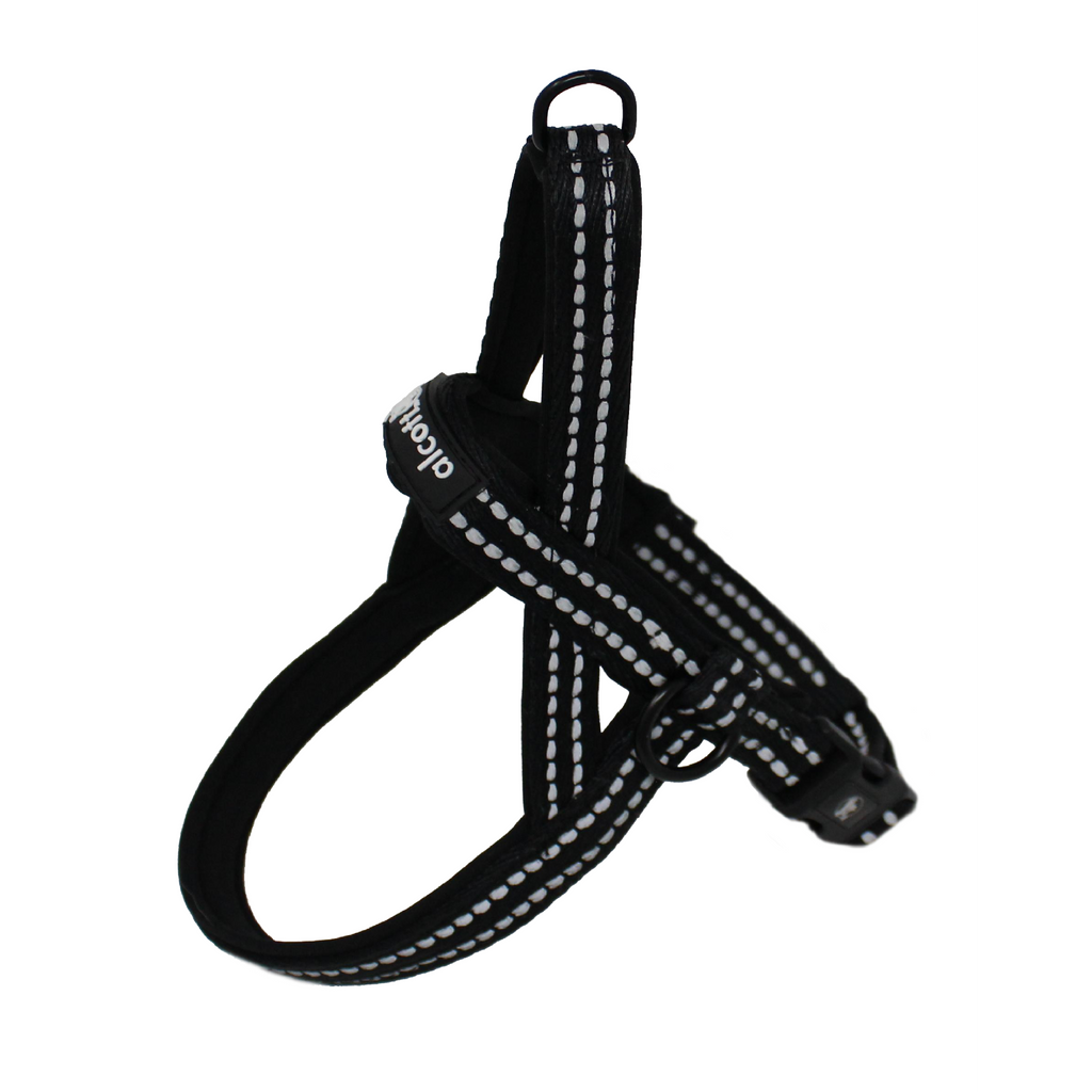 Norwegian Harness
