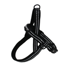 Norwegian Harness