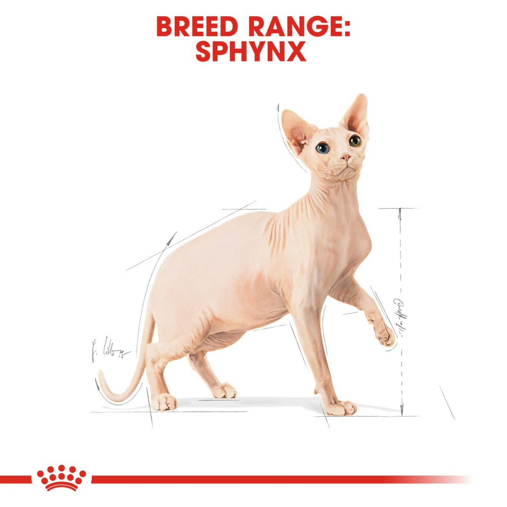 Feline Breed Nutrition Sphynx 2 kg
