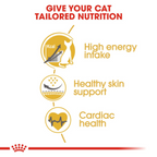 Feline Breed Nutrition Sphynx 2 kg