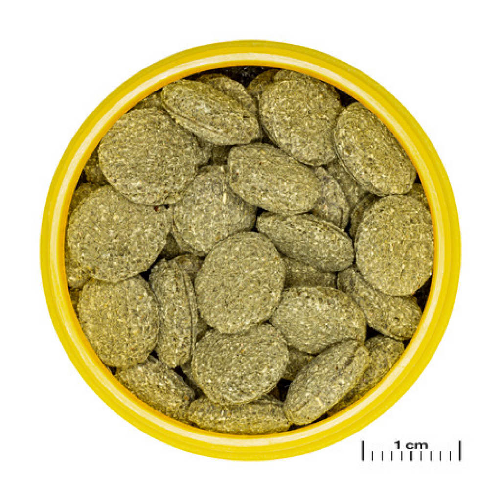JBL Pronovo Pleco Wafer M, 100 ml
