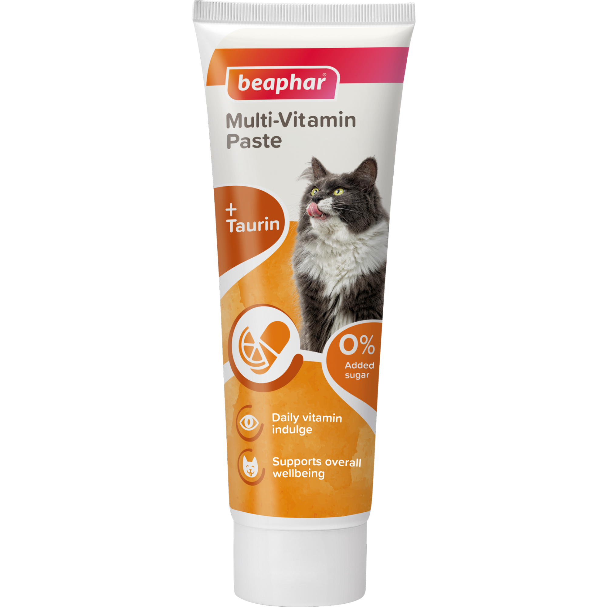 Multi Vitamin Paste Cat 100 g