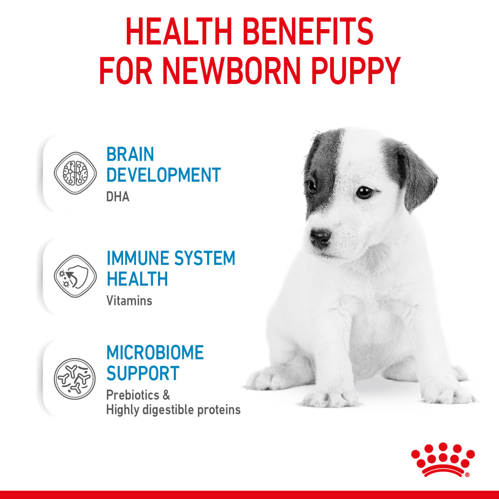 Size Health Nutrition Babydog Milk 400 g
