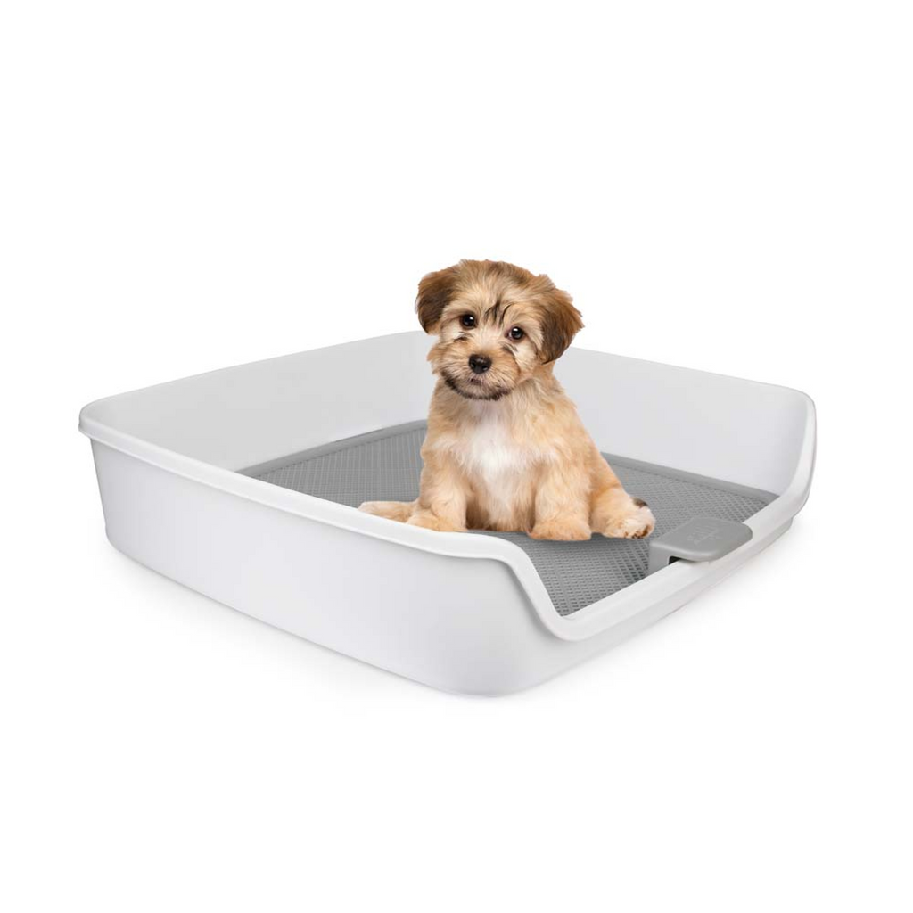 Go Fresh Dog Pee Pad Holder