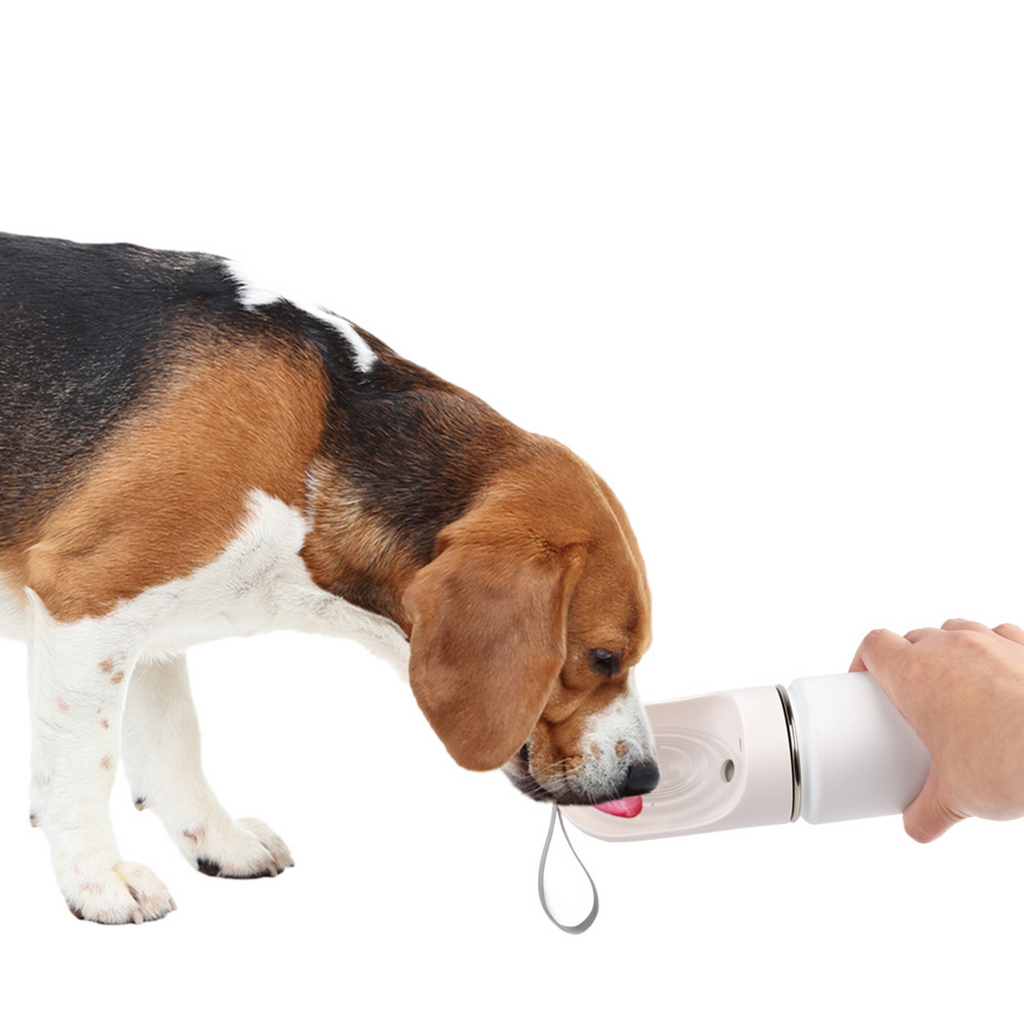Lifestyle 4 Pets 2-in-1 Stainless Drinking Bottle 400 ml /14 oz