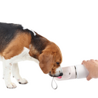 Lifestyle 4 Pets 2-in-1 Stainless Drinking Bottle 400 ml /14 oz