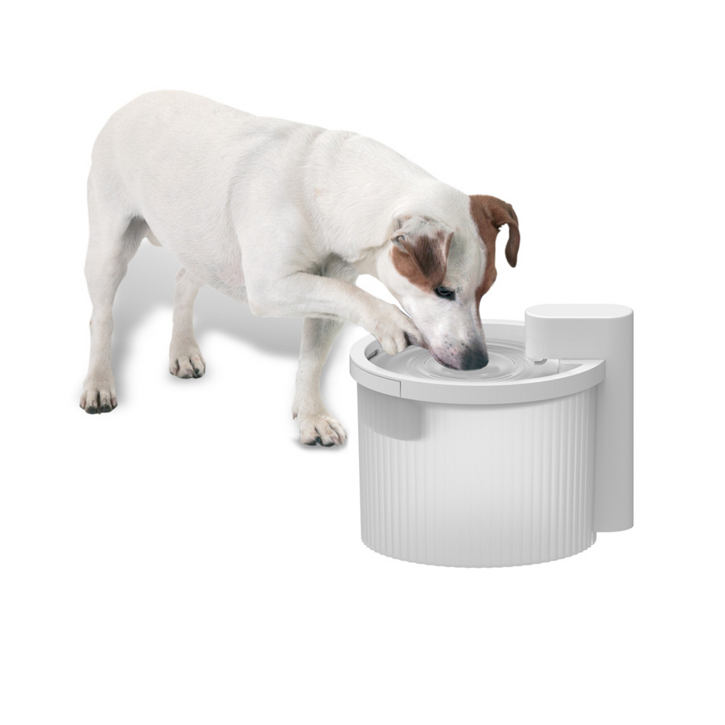 Lifestyle 4 Pets Wireless Fountain