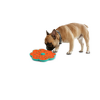 Calming Pals Lick-A-Disk